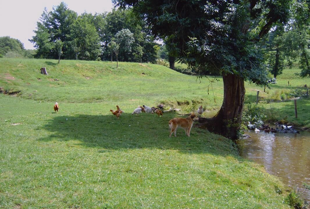 Photo of Outdoor in Dyo