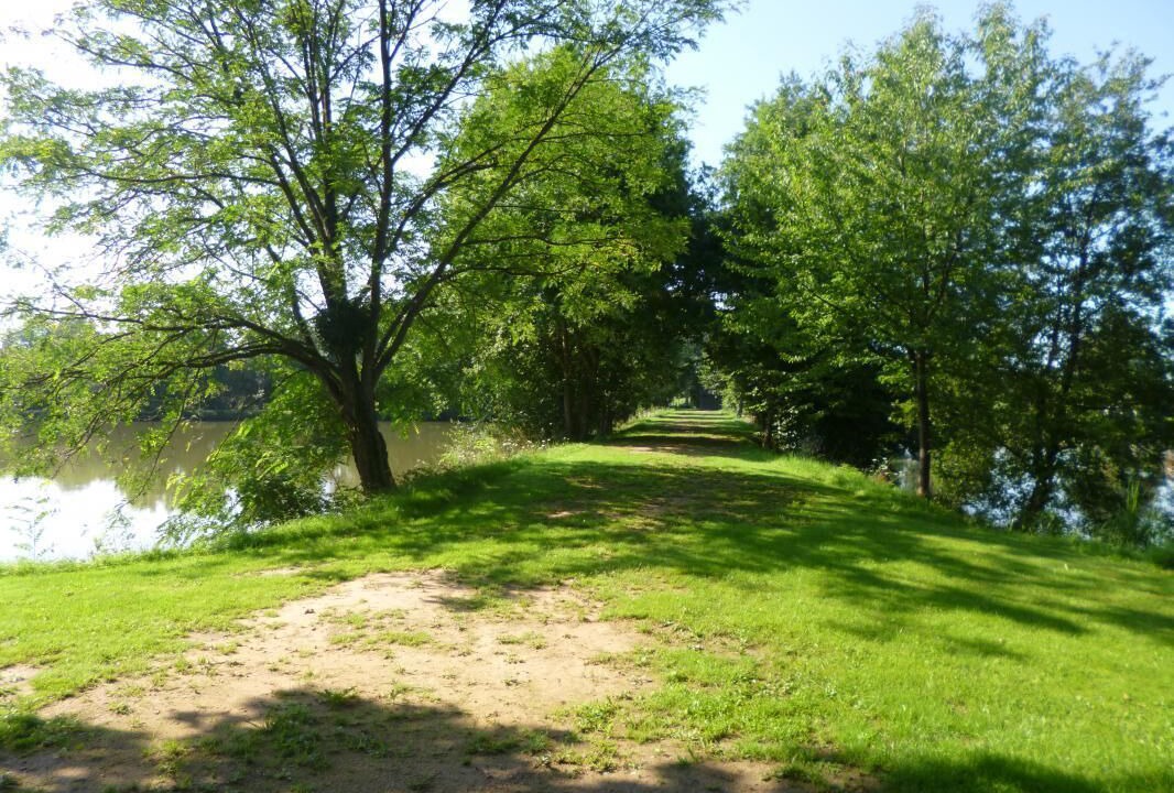 Photo of Outdoor in Ciry-le-Noble