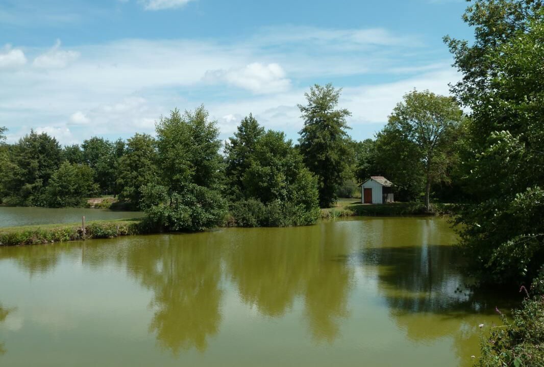 Photo of Outdoor in Ciry-le-Noble