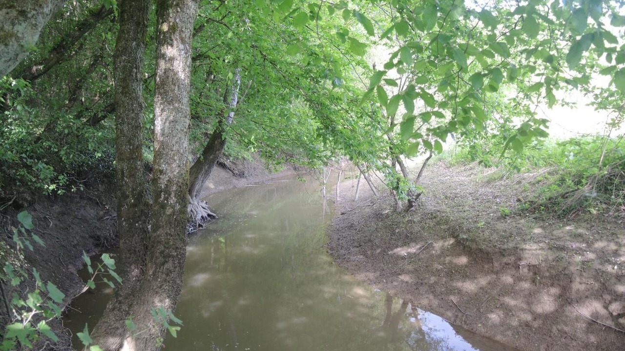 Photo of Outdoor in La Chapelle-Naude