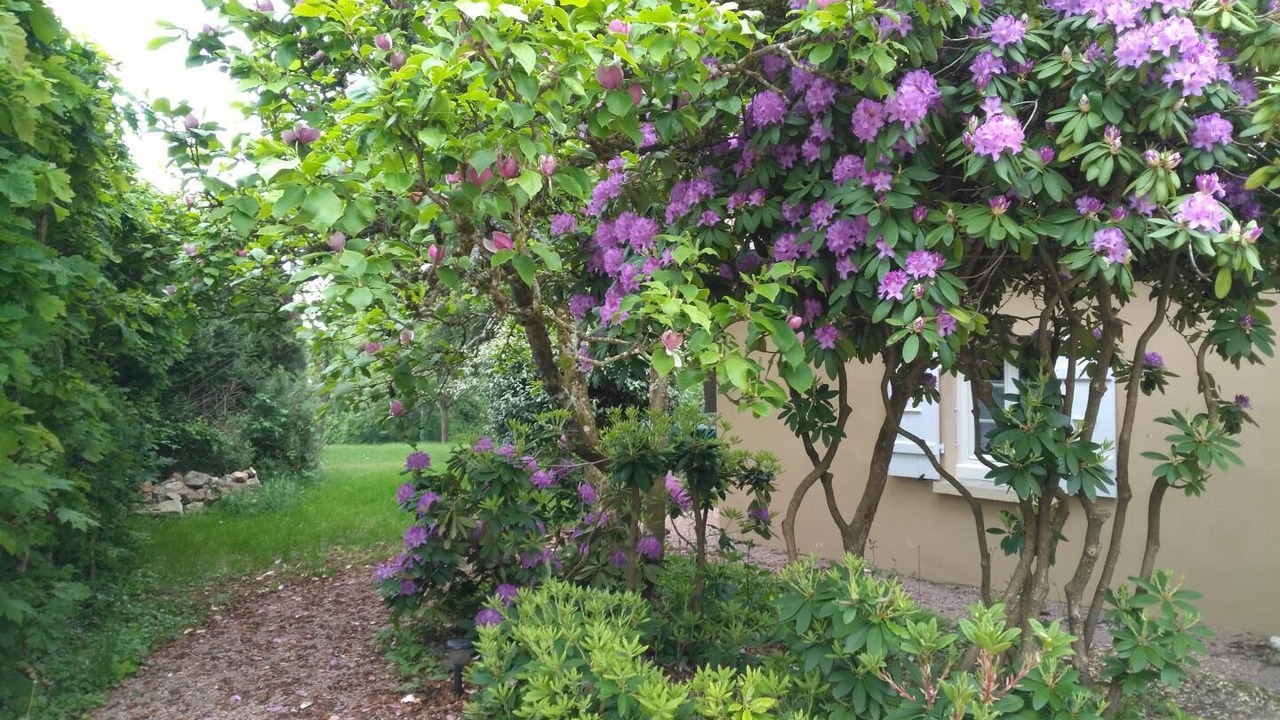 Photo of Outdoor in La Guiche