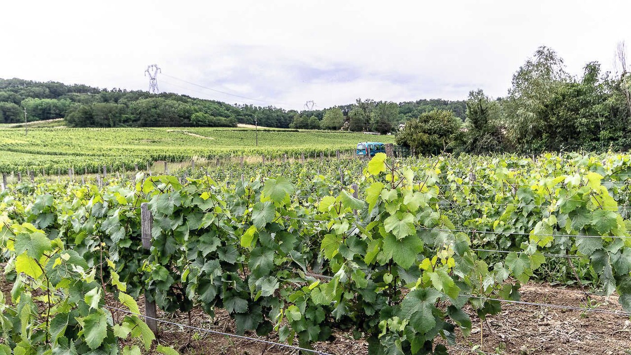 Photo of Others in Saint-Vallerin