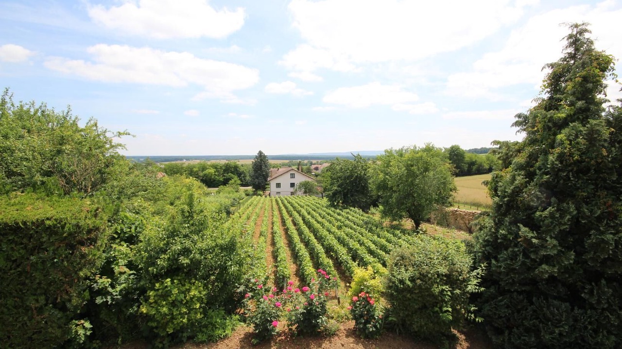Photo of Outdoor in Buxy