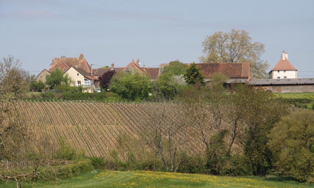 Photo of Outdoor in Chenoves
