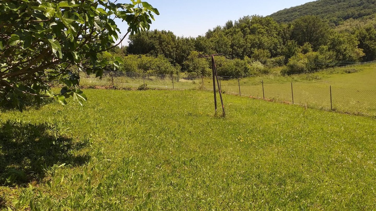 Photo of Outdoor in Montceaux-Ragny