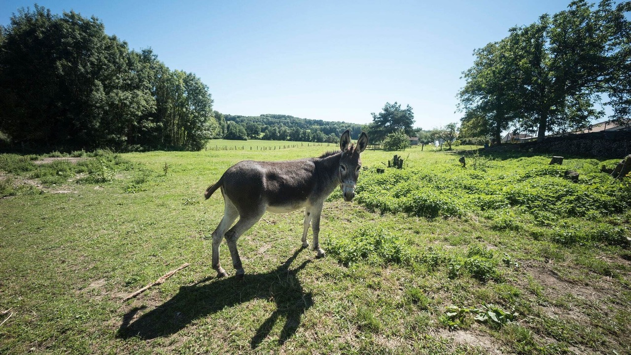 Photo of Outdoor in Dombasle-devant-Darney