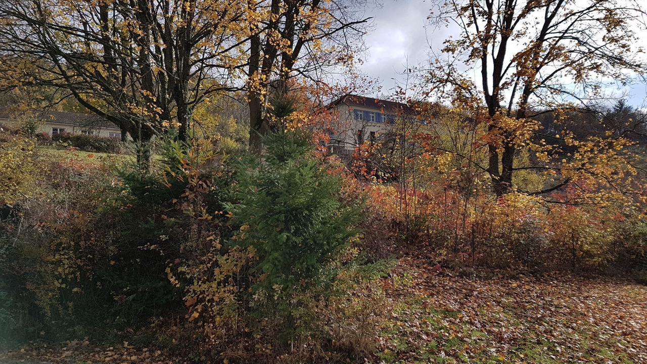 Photo of Outdoor in Cuzy
