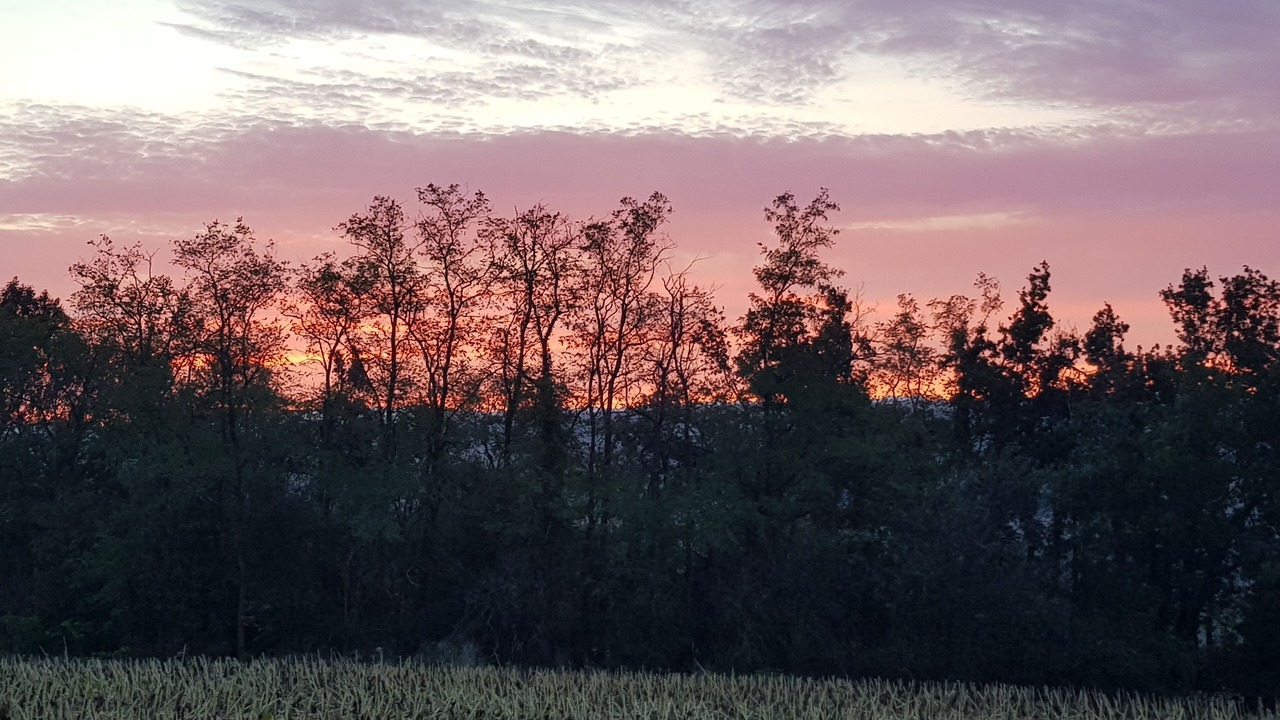 Photo of Outdoor in Chateauneuf-de-Galaure