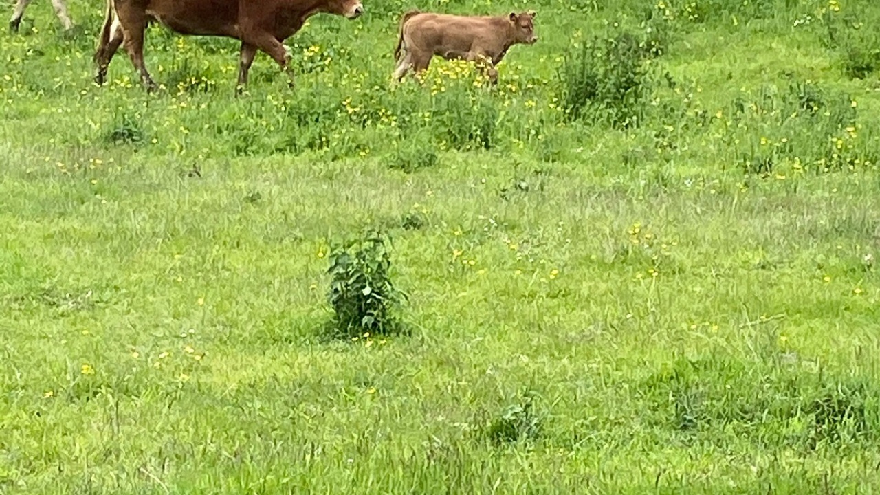 Photo of Outdoor in Saint-Martin-du-Puy