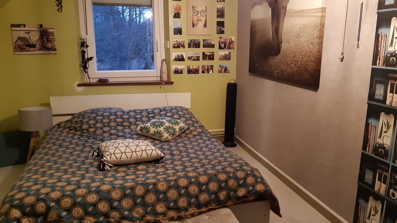 Photo of Bedroom in Grosne