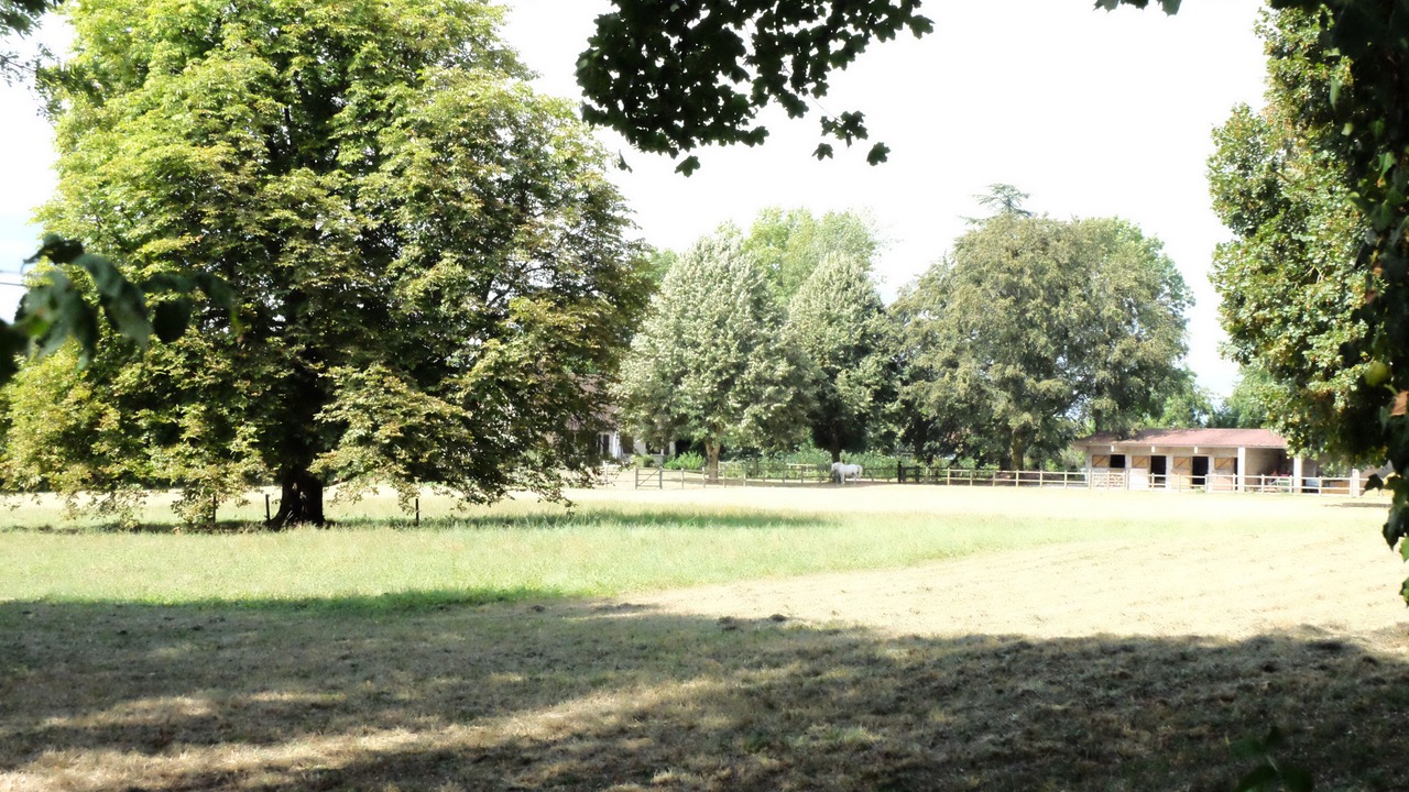 Photo of Outdoor in Argilly