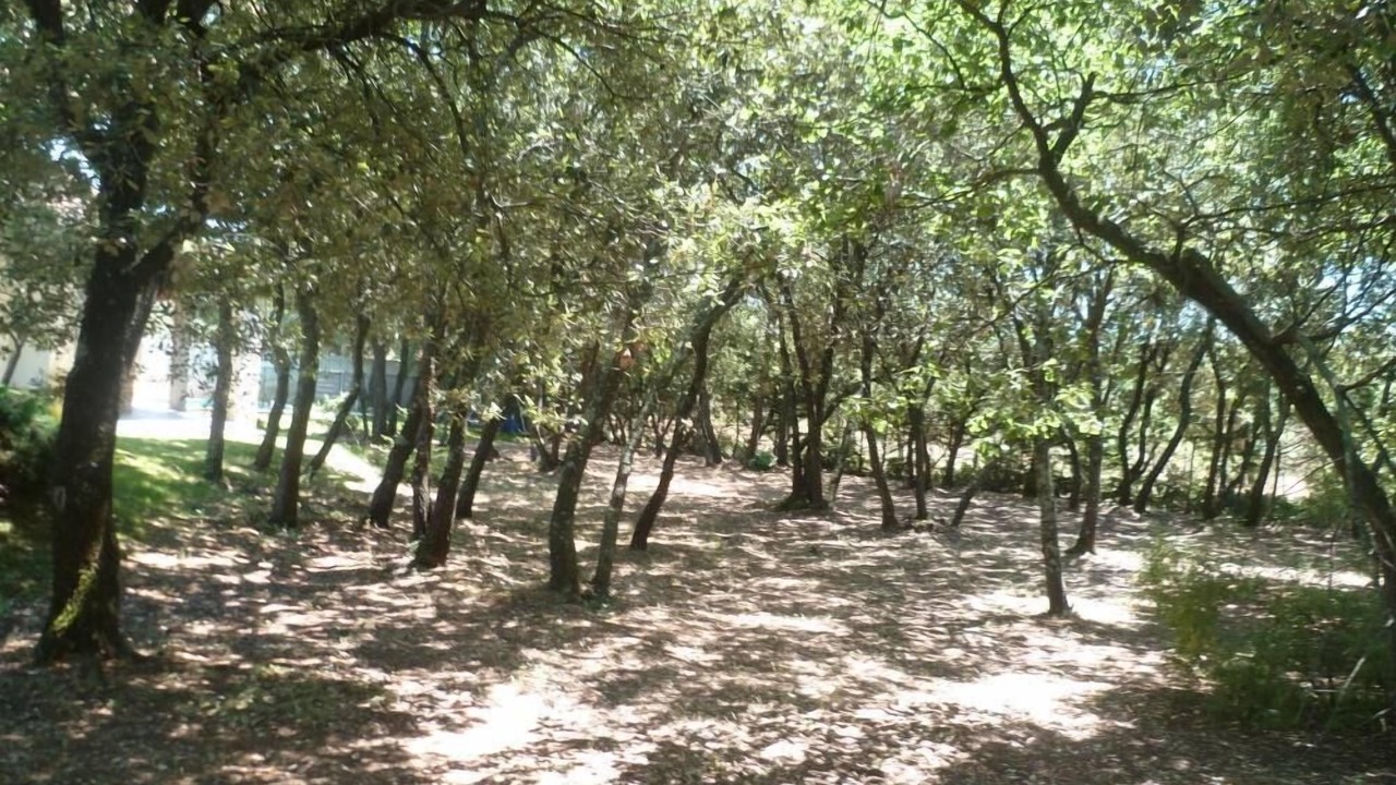 Photo of Outdoor in La Roque-sur-Pernes