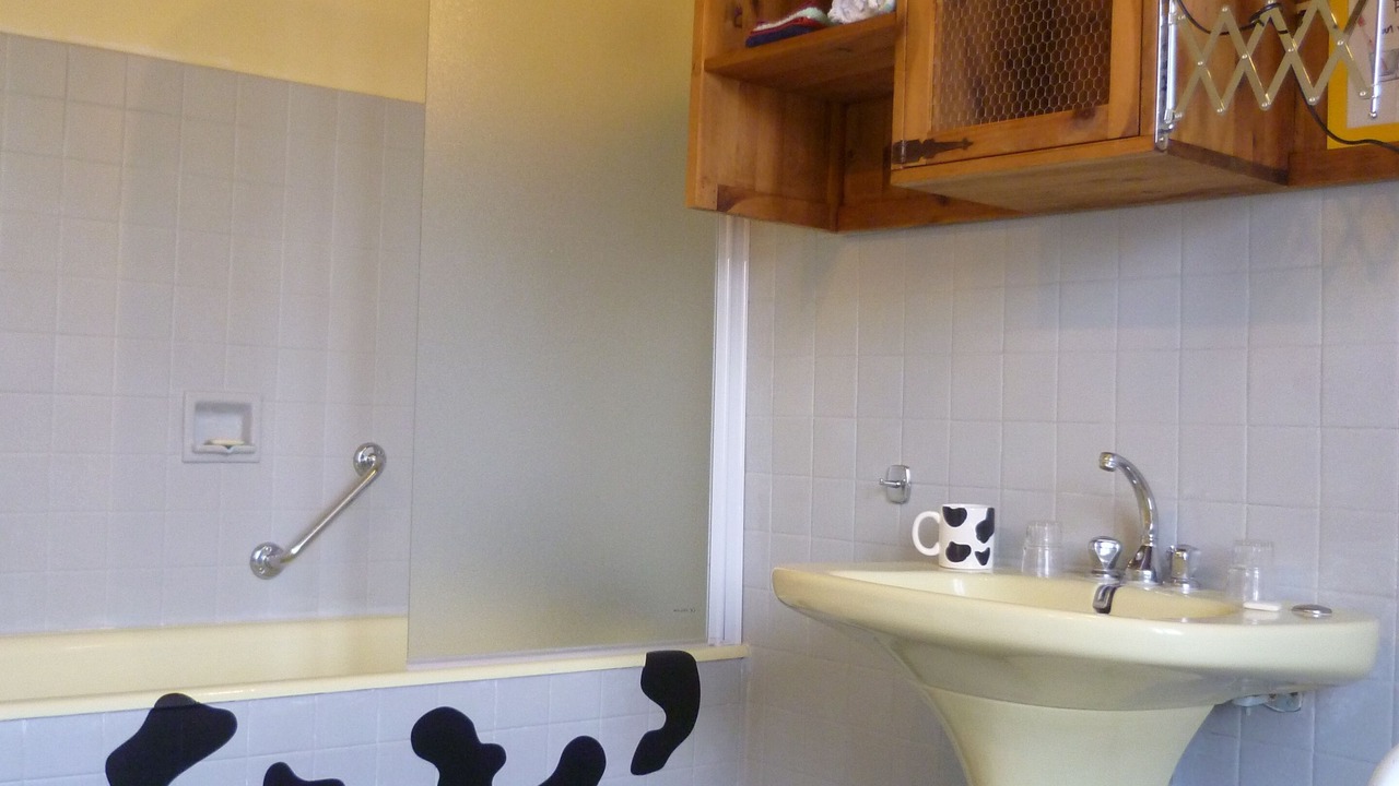 Photo of Bathroom in La Roche-Vineuse