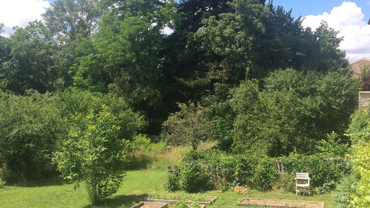 Photo of Outdoor in La Roche-Vineuse