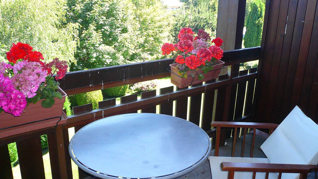 Photo of Outdoor in Combloux
