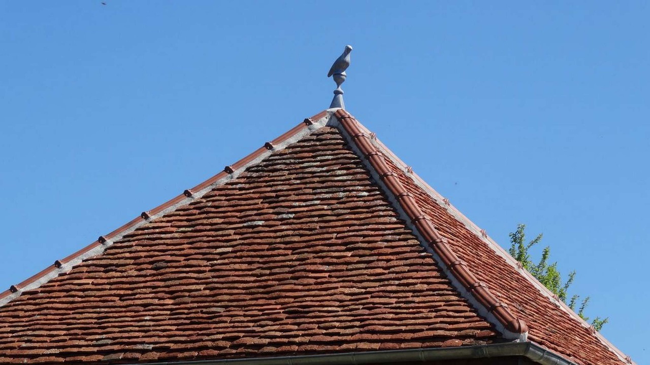 Photo of Others in Saint-Eloi