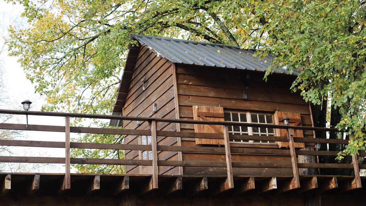 Photo of Outdoor in Bona