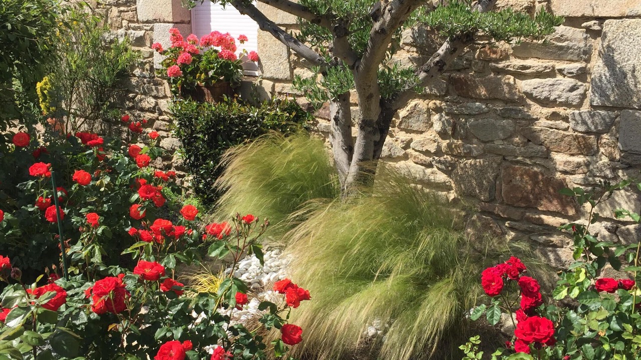 Photo of Outdoor in La Turballe