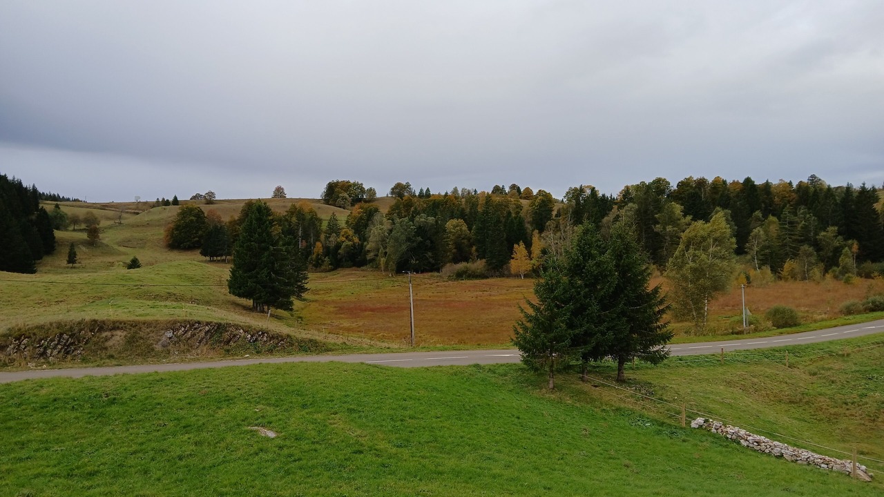 Photo of Others in La Pesse