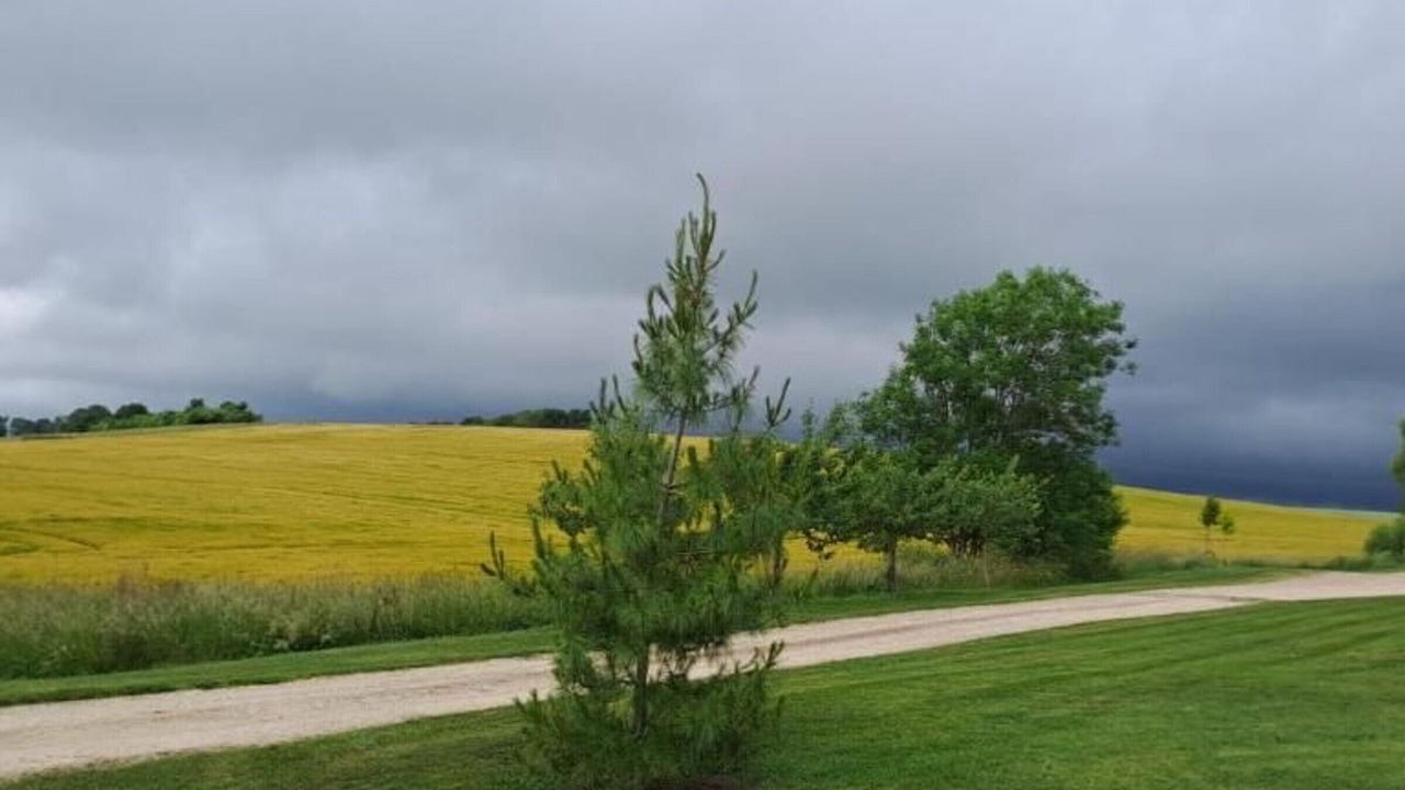 Photo of Others in Germonville