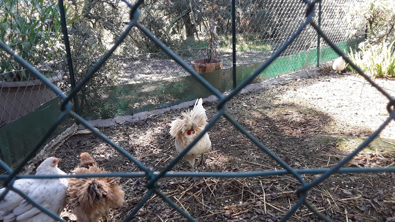 Photo of Others in Grignan