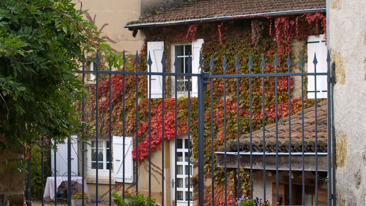 Photo of Outdoor in Coutouvre