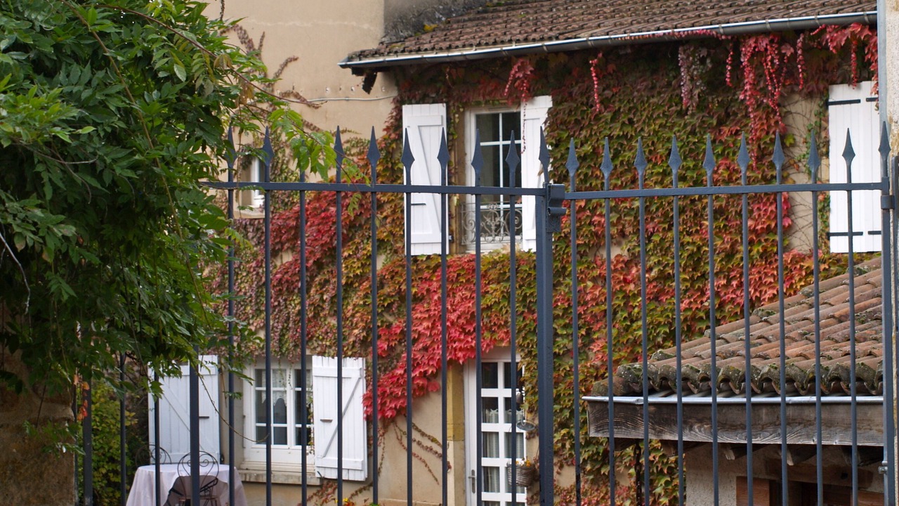 Photo of Outdoor in Coutouvre