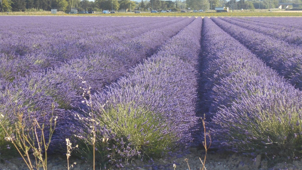 Photo of Outdoor in Donzere