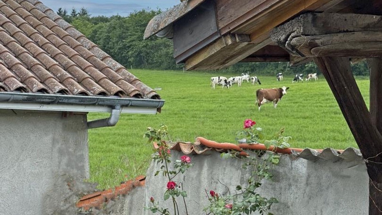 Photo of Others in Cremeaux
