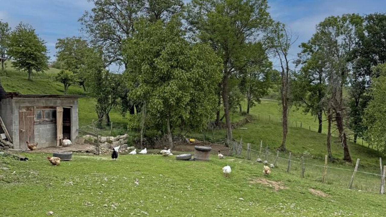 Photo of Outdoor in Cremeaux