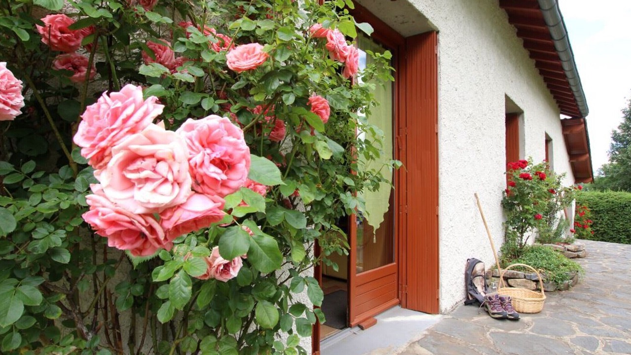 Photo of Outdoor in Araules