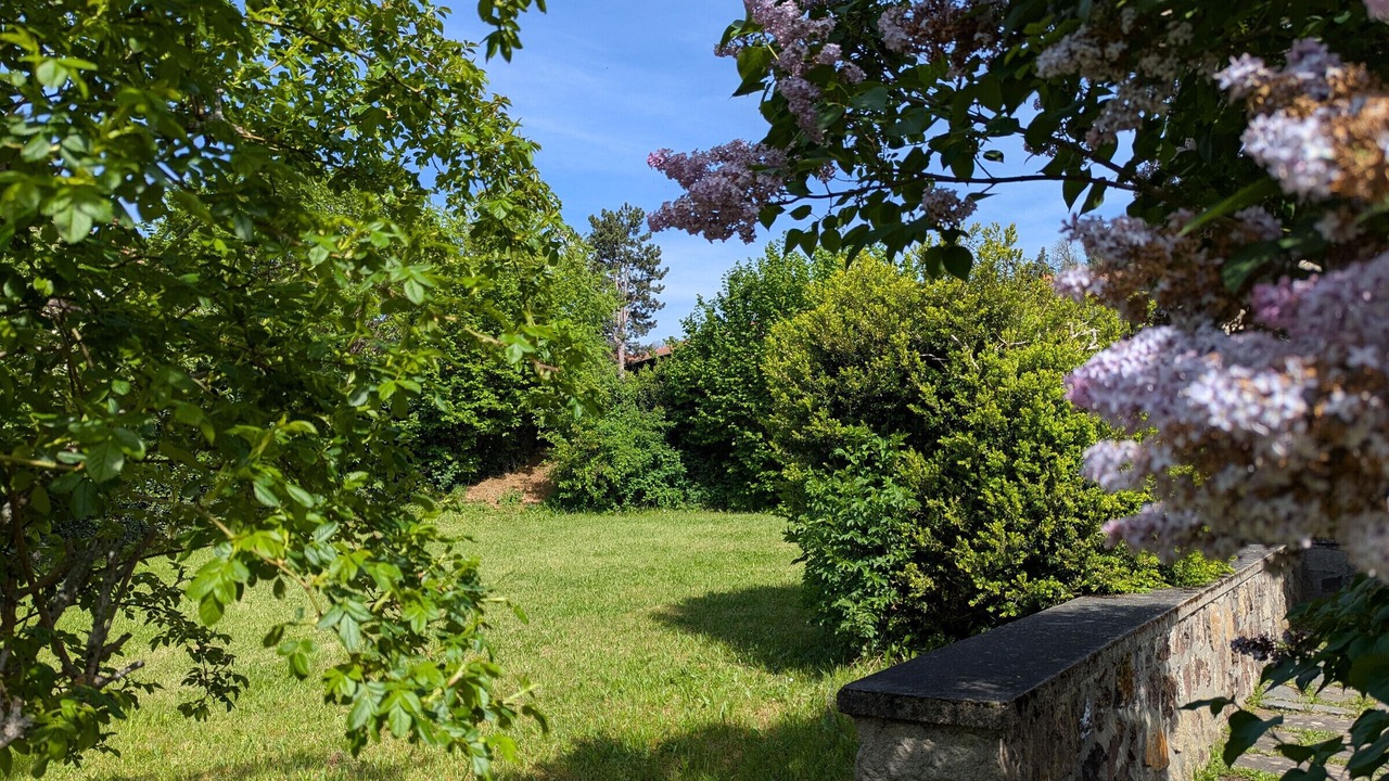 Photo of Outdoor in Allegre