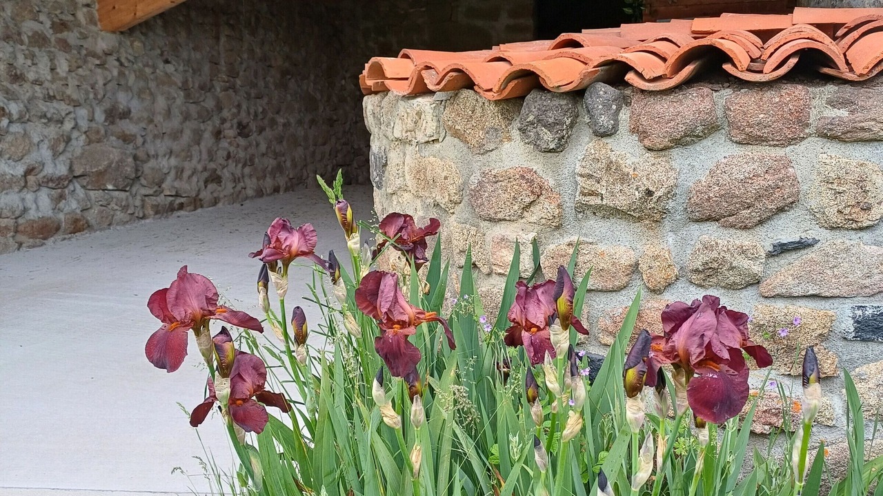 Photo of Outdoor in Saint-Geneys-pres-Saint-Paulien