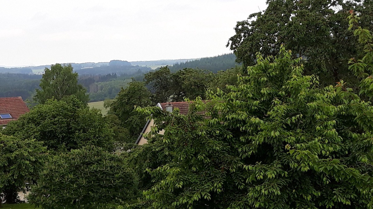 Photo of Others in Fremifontaine