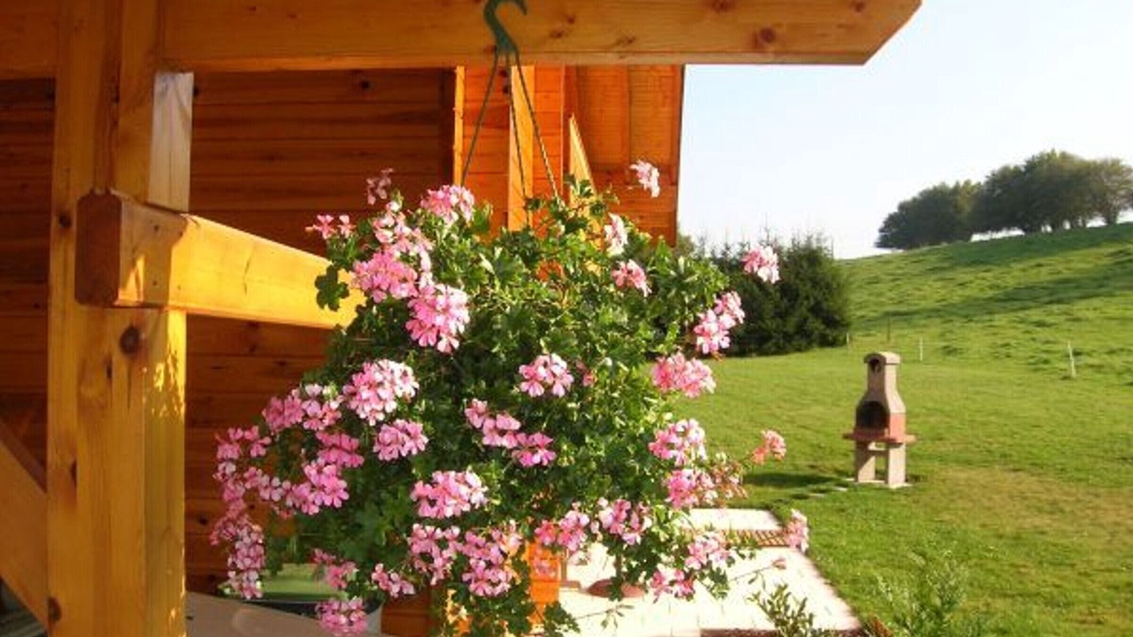 Photo of Outdoor in Saint-Nabord