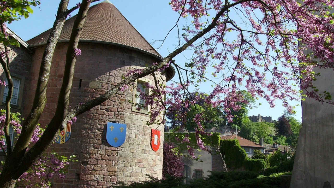 Photo of Outdoor in Chantraine