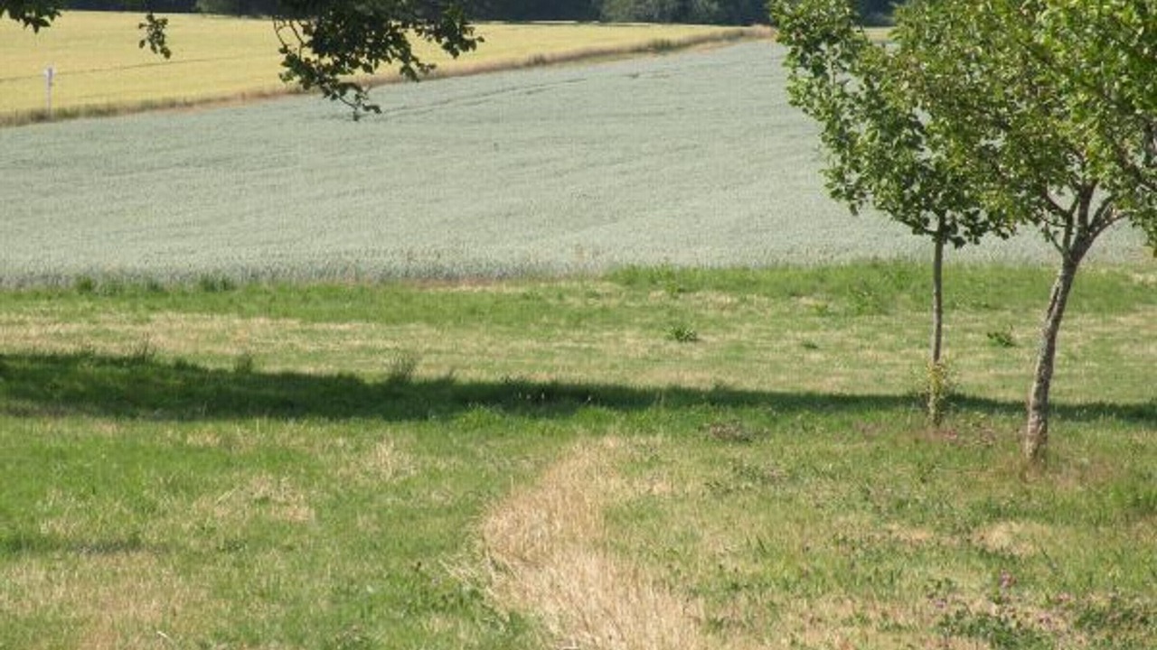 Photo of Outdoor in Dommartin-aux-Bois