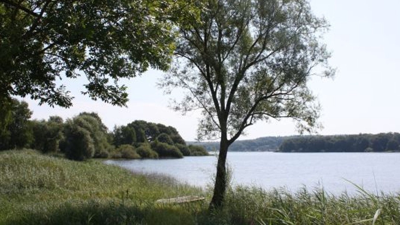 Photo of Outdoor in Dommartin-aux-Bois