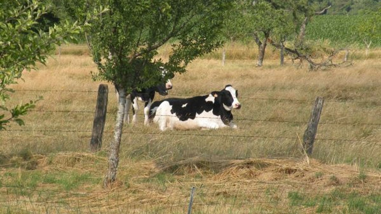 Photo of Outdoor in Dommartin-aux-Bois