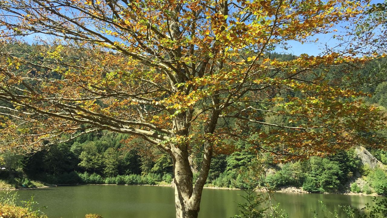 Photo of Outdoor in Ferdrupt