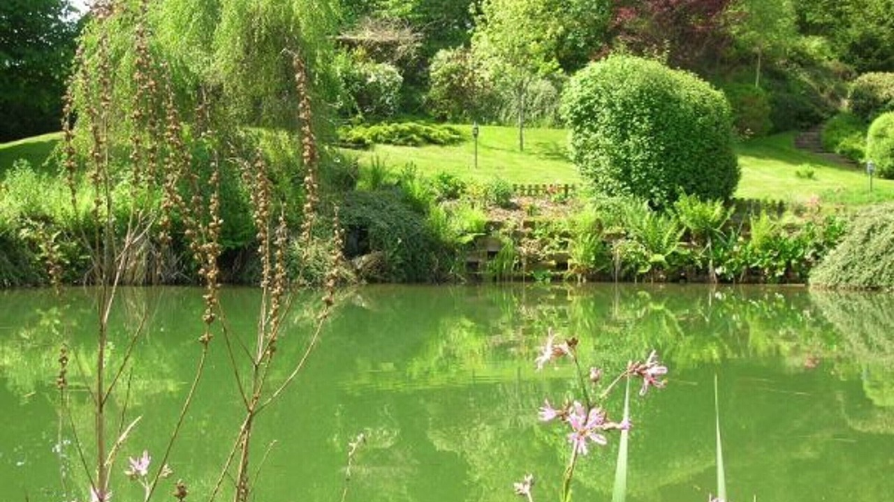 Photo of Outdoor in Saint-Nabord