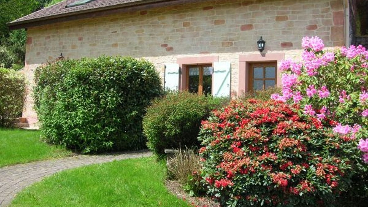 Photo of Outdoor in Saint-Nabord