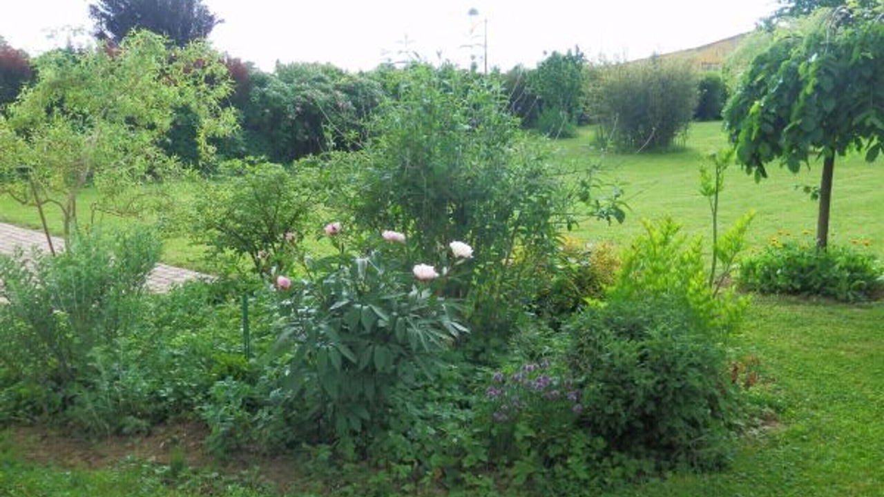 Photo of Outdoor in Lironcourt