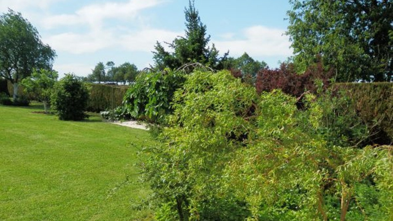 Photo of Outdoor in Lironcourt