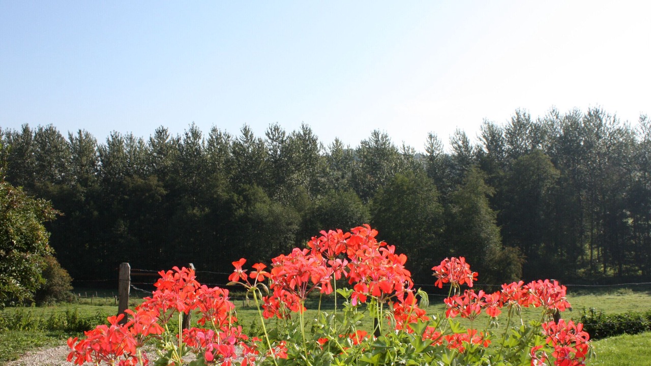 Photo of Outdoor in Saint-Ouen-les-Parey