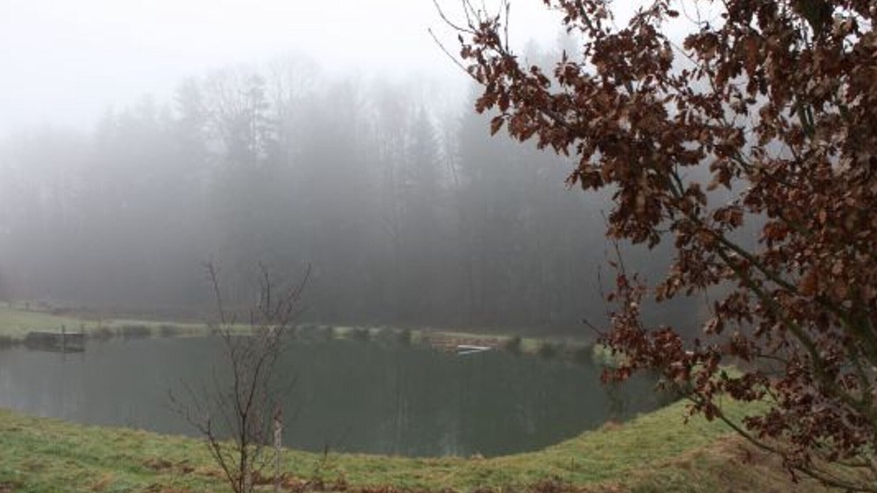 Photo of Others in Le Val-d'Ajol