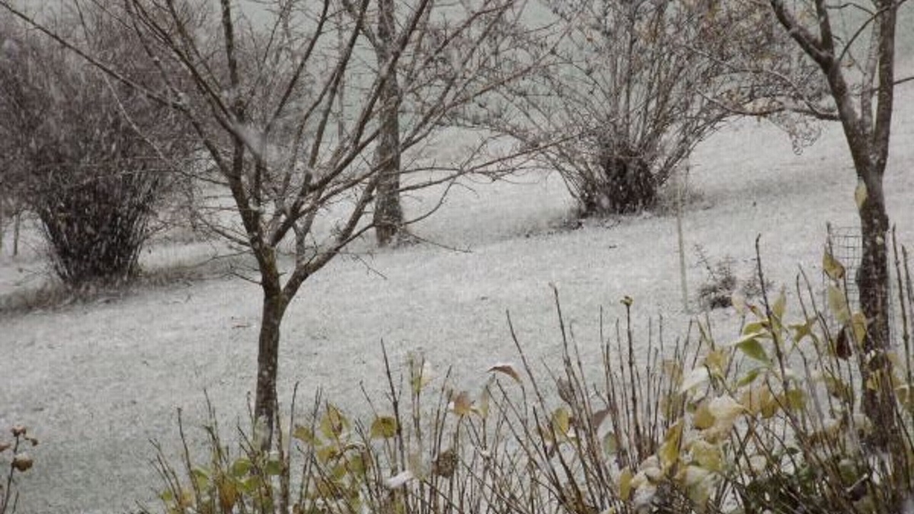 Photo of Outdoor in Le Val-d'Ajol
