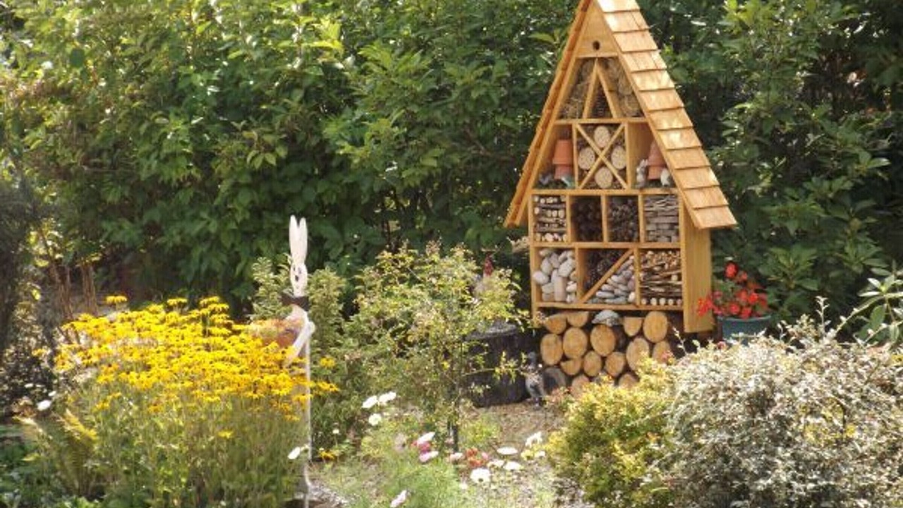 Photo of Outdoor in Le Val-d'Ajol