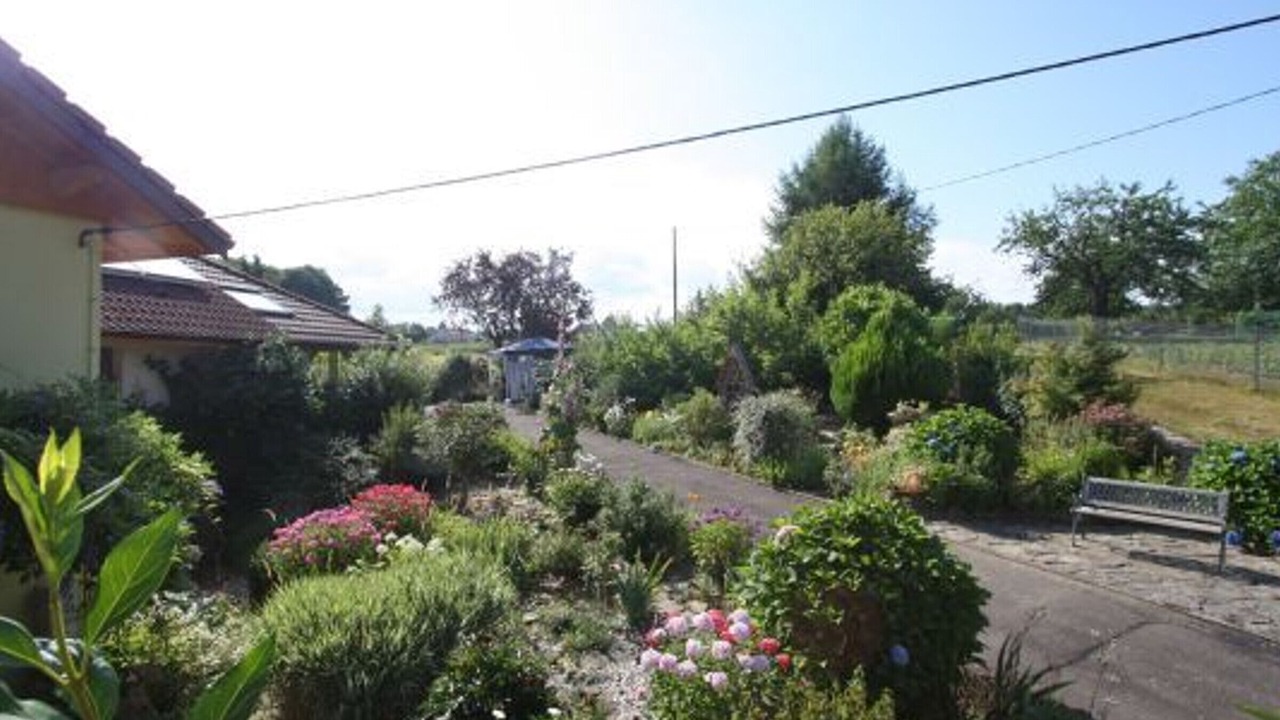Photo of Outdoor in Le Val-d'Ajol