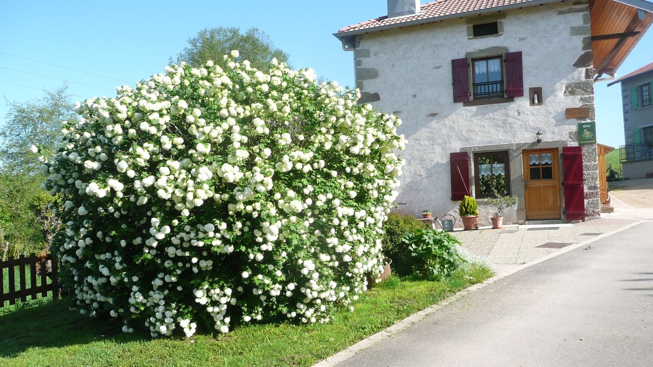 Photo of Outdoor in Bonvillet